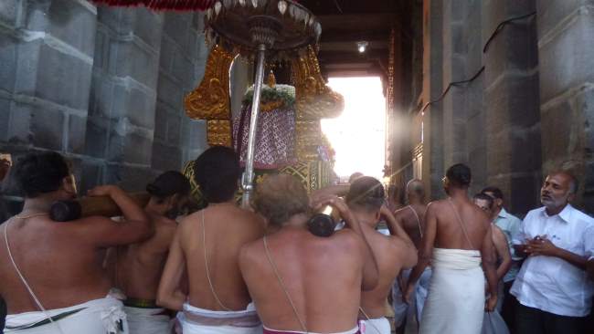 Kanchi Sri Devarajaswami temple masi masapirappu purappadu026