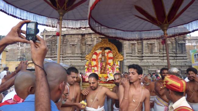 Kanchi Sri Devarajaswami temple masi masapirappu purappadu030