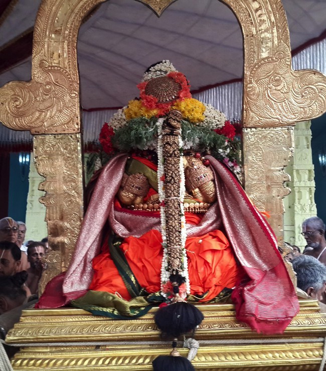 Kanchipuram-Sri-Perundevi-Thayar_01