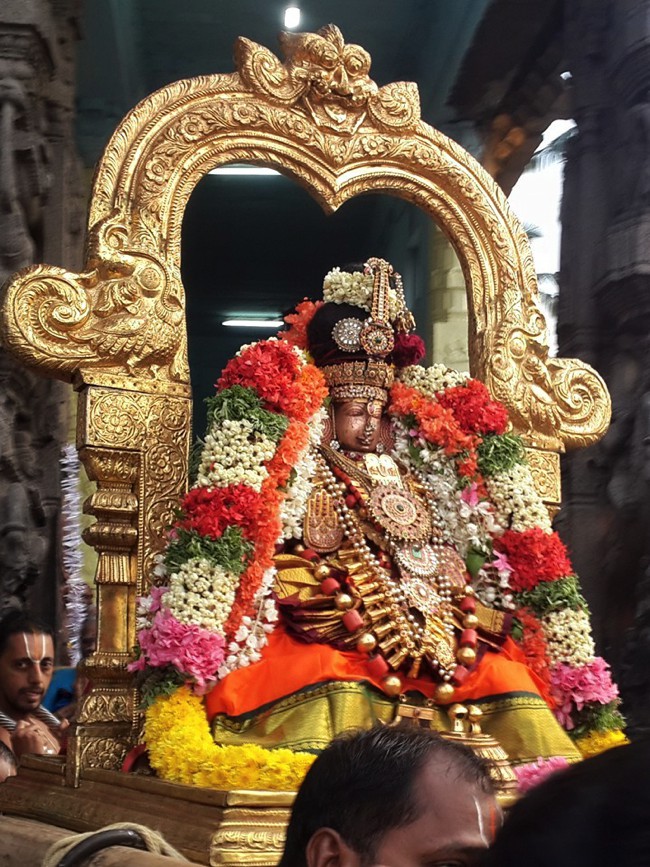 Kanchipuram-Sri-Perundevi-Thayar_08