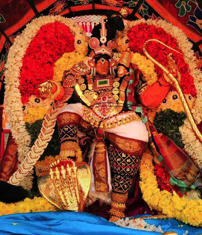 Kumbakonam-Sri-AdhiVaraha-Perumal_01