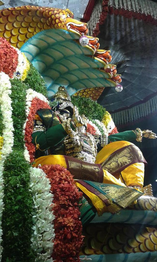 Kumbakonam-Sri-AdhiVaraha-Perumal_05