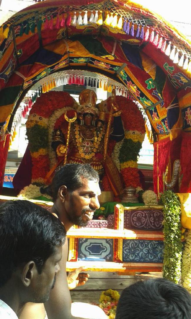 Kumbakonam-Sri-AdhiVaraha-Perumal_07