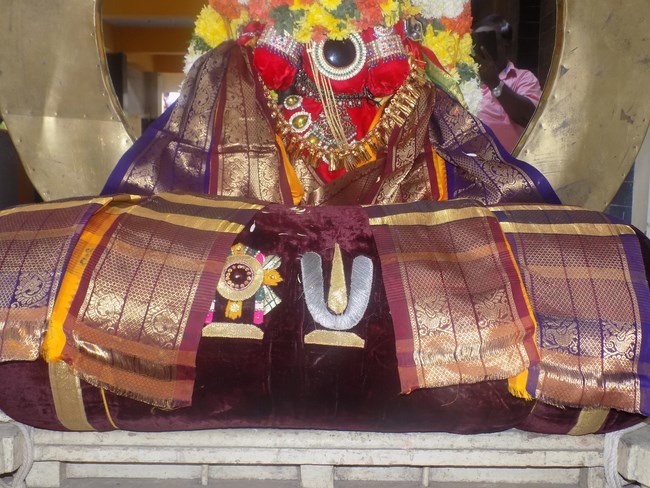 Madipakkam Sri Oppilliappan Pattabhisheka Ramar Temple Manmadha Varusha Parivettai Utsavam10
