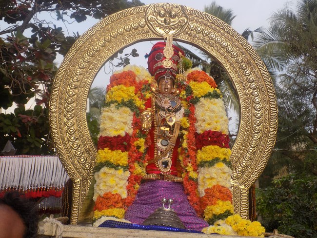 Madipakkam Sri Oppilliappan Pattabhisheka Ramar Temple Manmadha Varusha Parivettai Utsavam15