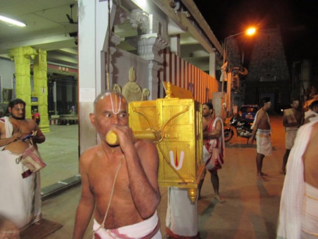 Mylapore SVDD Srinivasa Perumal Temple Manmadha Varusha Lakshmipuram Parivettai Utsavam13