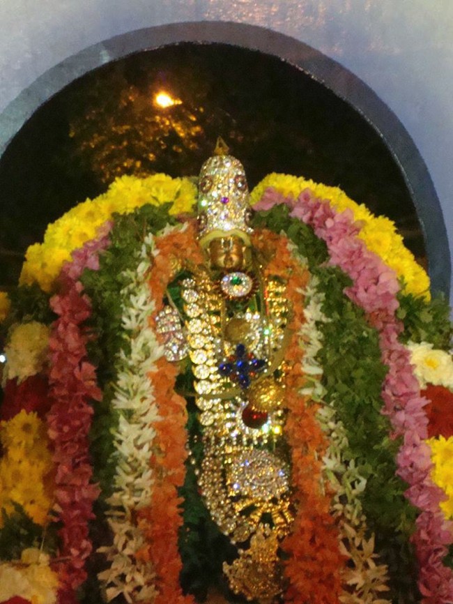 Nanganallur-Sri-Lakshmi-Hayavadhana-Perumal_02