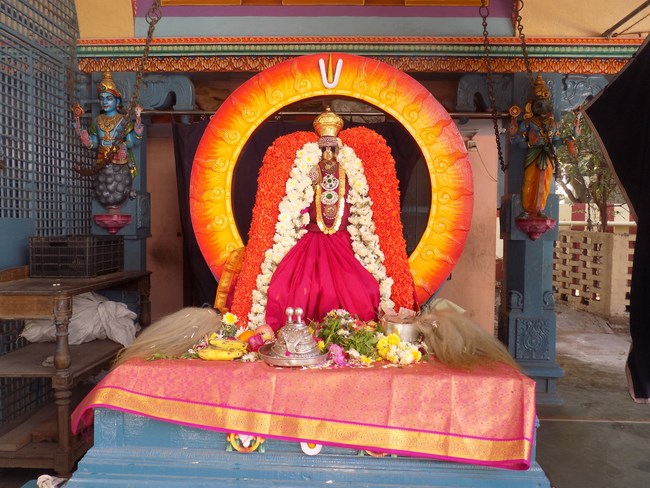 Nanganallur Sri Lakshmi Narasimhar Navaneetha Krishnan Temple Manmadha Varusha Rathasaptami Mahotsavam2