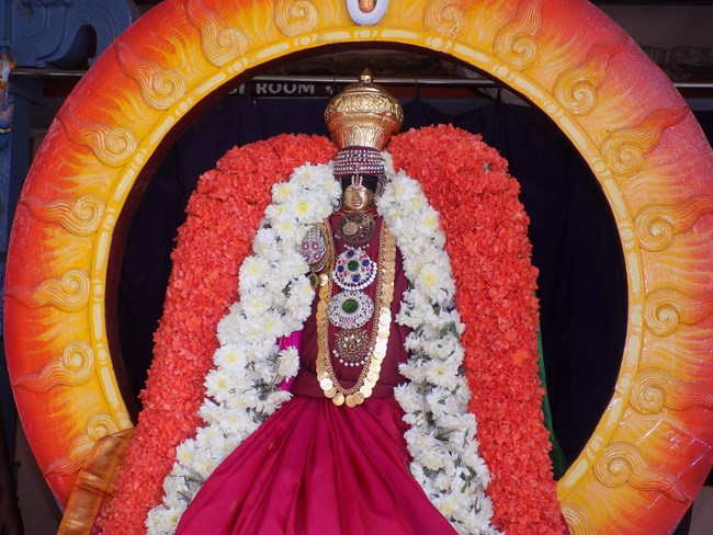 Nanganallur Sri Lakshmi Narasimhar Navaneetha Krishnan Temple Manmadha Varusha Rathasaptami Mahotsavam3