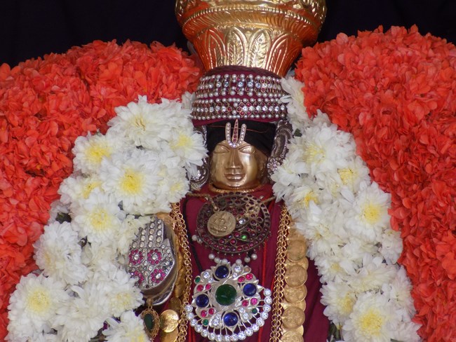 Nanganallur Sri Lakshmi Narasimhar Navaneetha Krishnan Temple Manmadha Varusha Rathasaptami Mahotsavam5