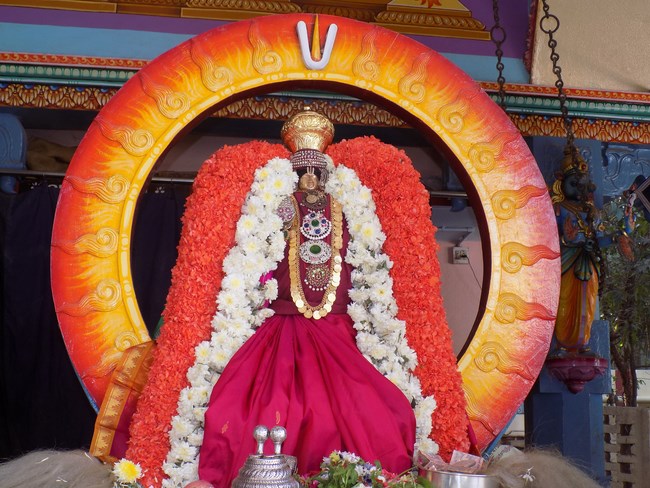 Nanganallur Sri Lakshmi Narasimhar Navaneetha Krishnan Temple Manmadha Varusha Rathasaptami Mahotsavam8