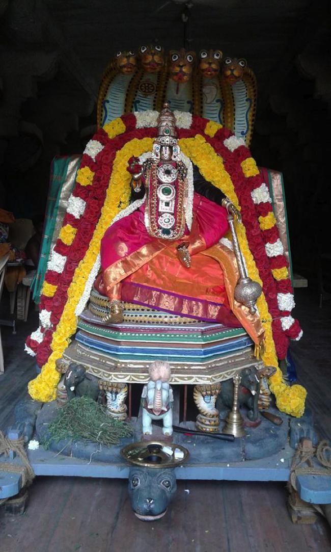 Palayamkottai-Sri-Rajagopalaswamy_10