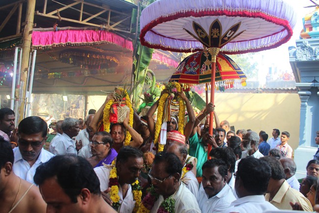 Pondicherry-Muthiyalpet-Sri-Srinivasa-Perumal_00