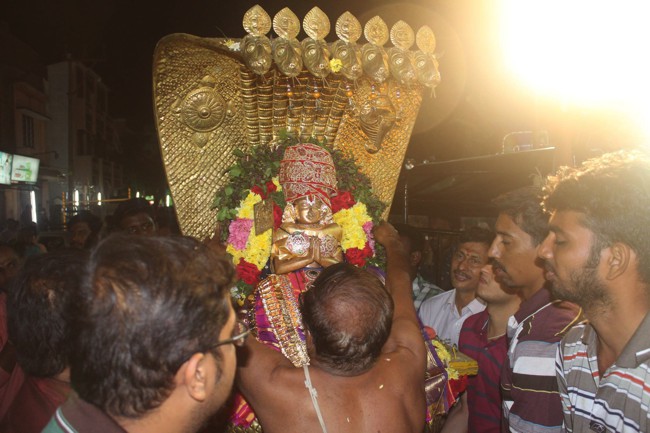 Pondicherry-Muthiyalpet-Sri-Srinivasa-Perumal_10