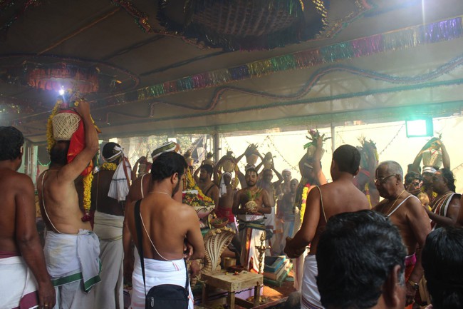 Pondicherry-Muthiyalpet-Sri-Srinivasa-Perumal_11
