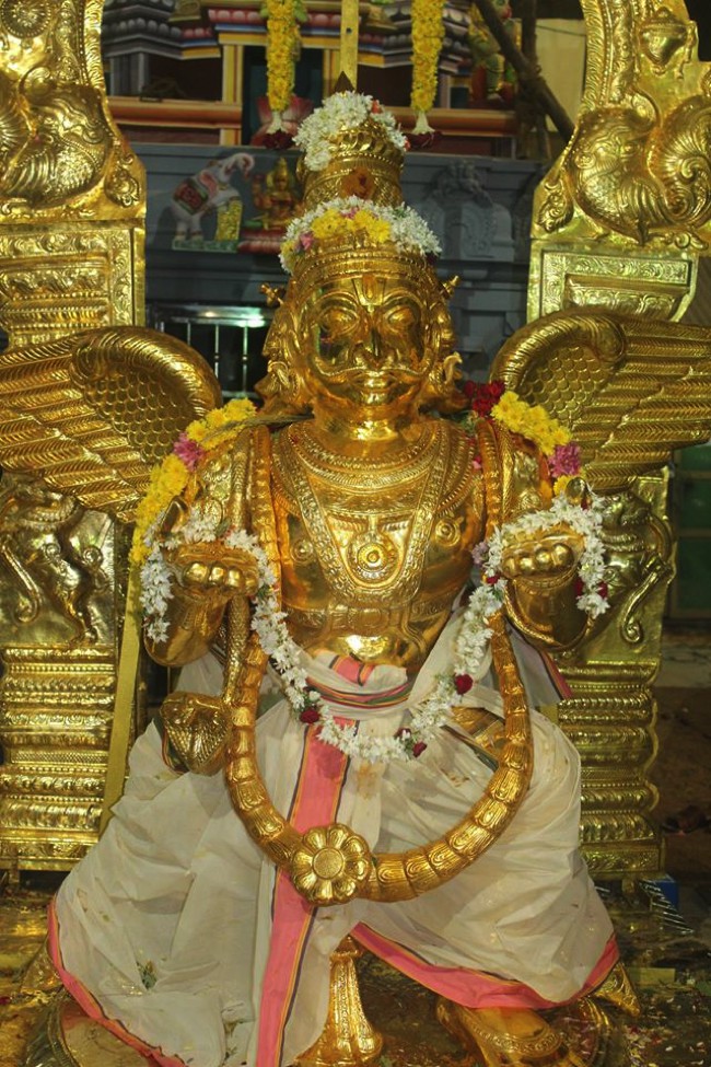 Pondicherry-Muthiyalpet-Sri-Srinivasa-Perumal_12