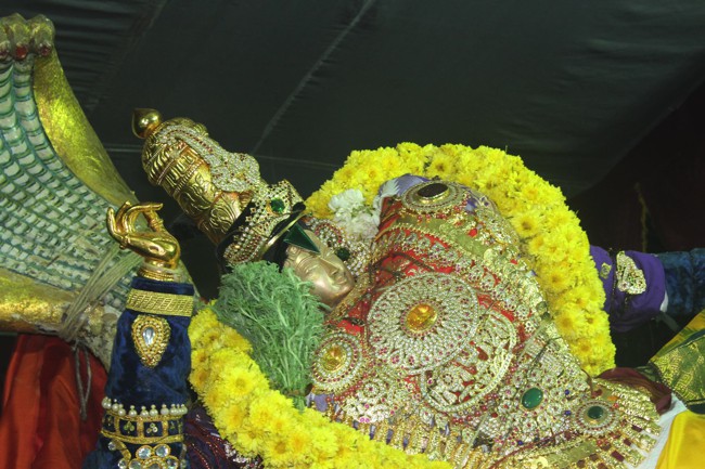 Pondicherry-Muthiyalpet-Sri-Srinivasa-Perumal_12