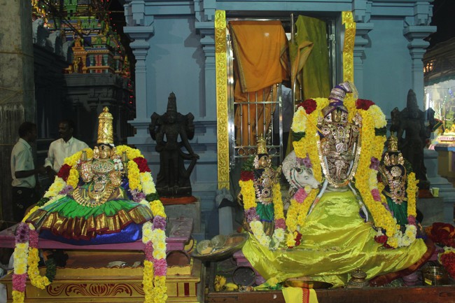 Pondicherry-Muthiyalpet-Sri-Srinivasa-Perumal_17