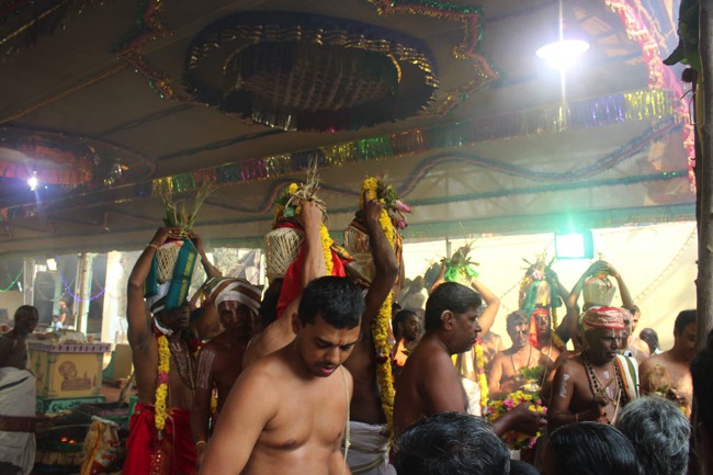 Pondicherry-Muthiyalpet-Sri-Srinivasa-Perumal_17