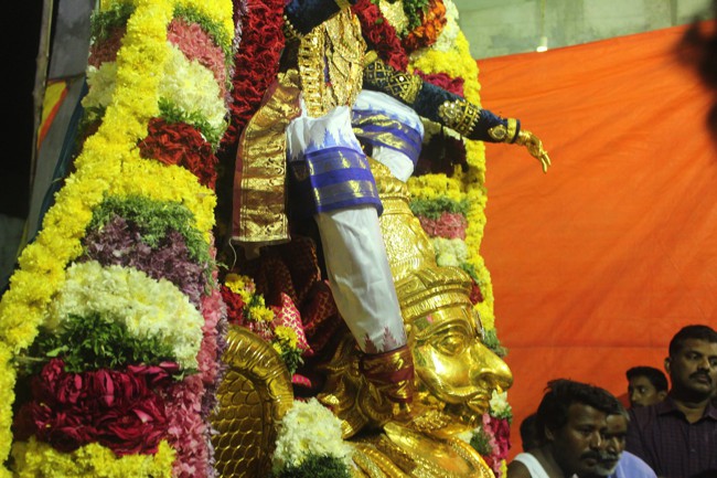 Pondicherry-Muthiyalpet-Sri-Srinivasa-Perumal_23
