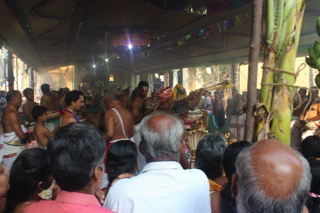 Pondicherry-Muthiyalpet-Sri-Srinivasa-Perumal_26