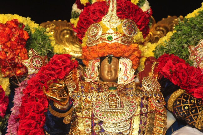 Pondicherry-Muthiyalpet-Sri-Srinivasa-Perumal_30