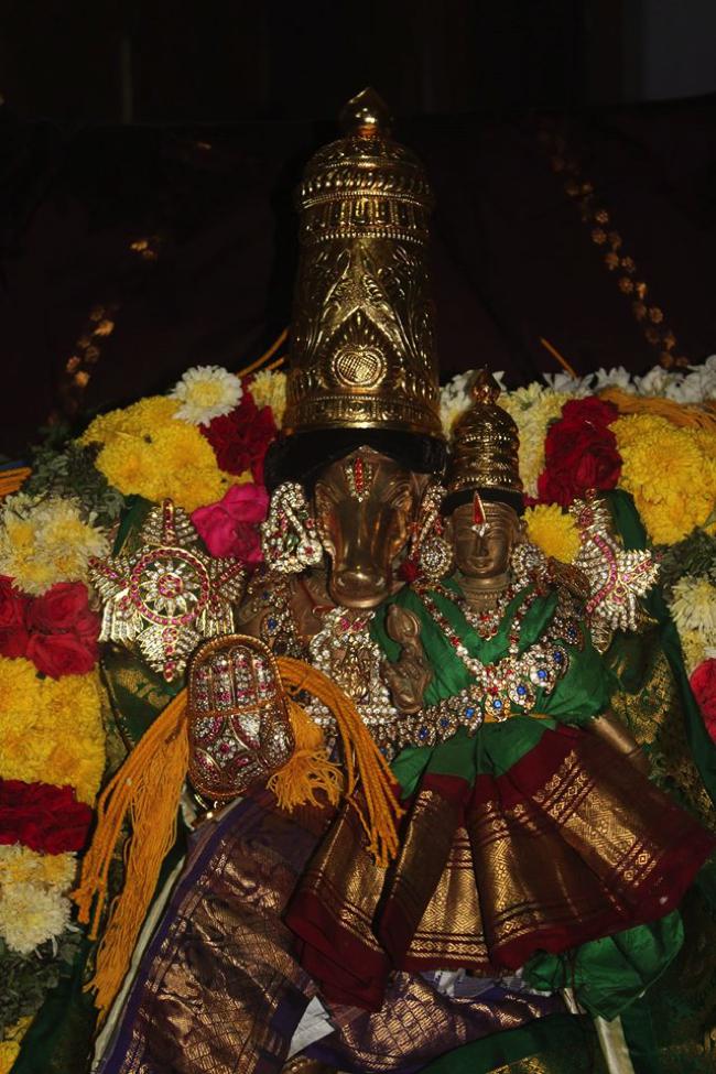 Pondicherry-Sri-Srinivasa-Perumal_01