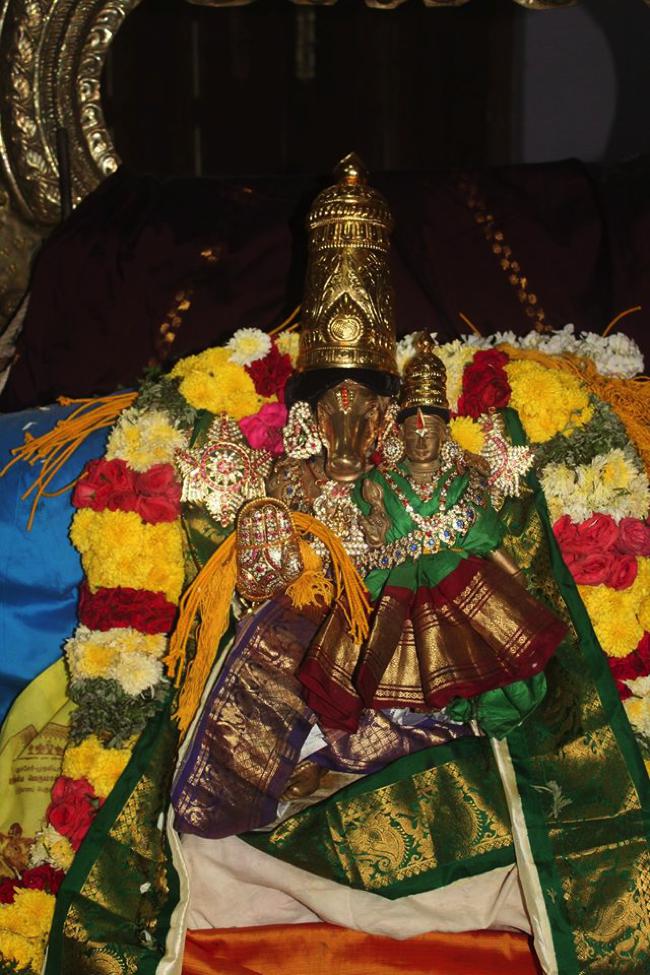 Pondicherry-Sri-Srinivasa-Perumal_02