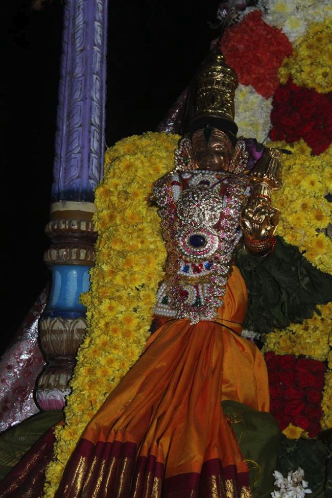 Pondicherry-Sri-Srinivasa-Perumal_04