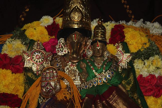 Pondicherry-Sri-Srinivasa-Perumal_04