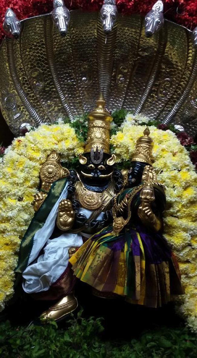 Poovarasankuppam-Sri-Lakshminarasimha-Perumal_05