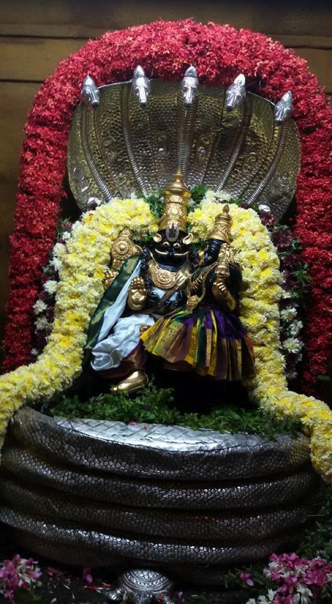 Poovarasankuppam-Sri-Lakshminarasimha-Perumal_12