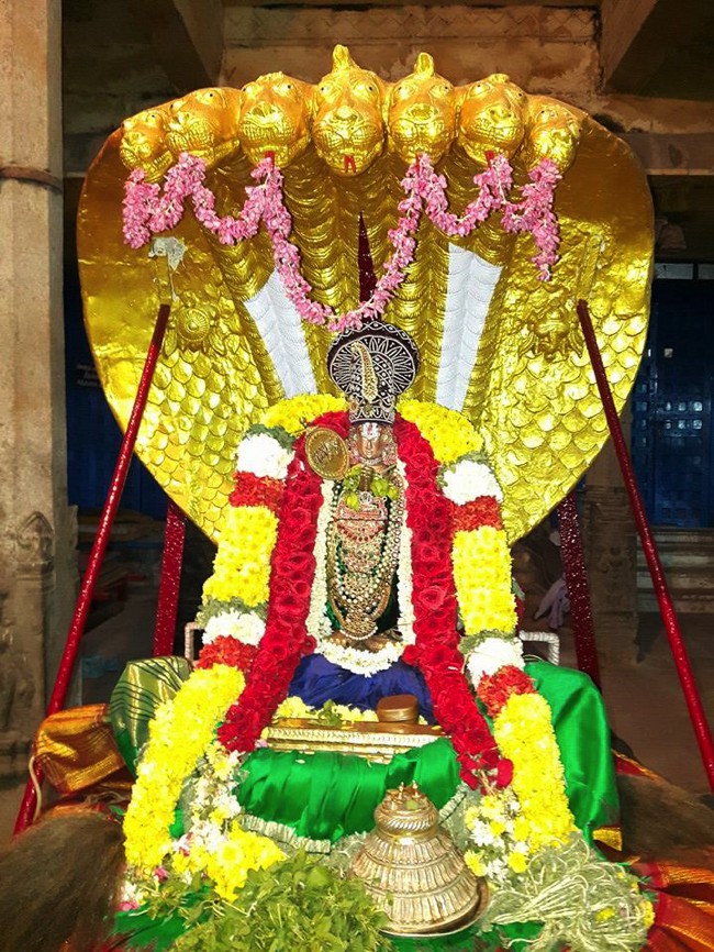 Poovirundavalli-Sri-Varadharaja-Perumal_01