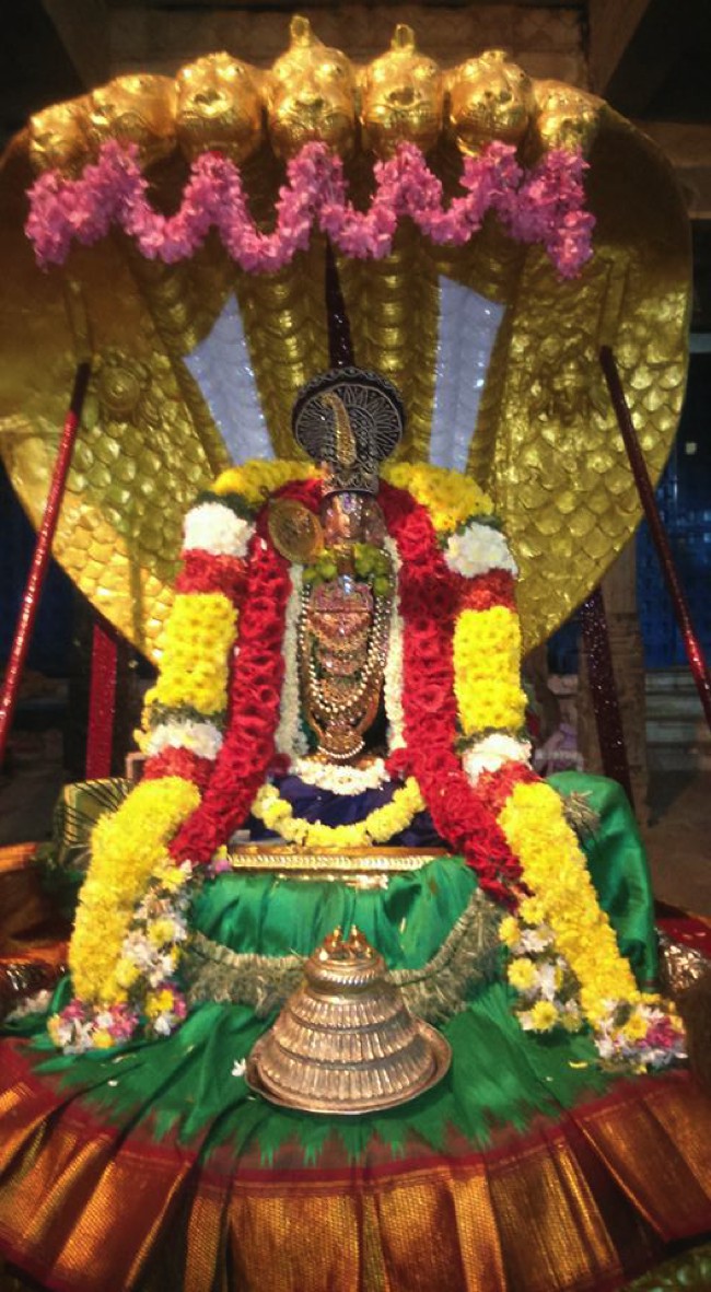 Poovirundavalli-Sri-Varadharaja-Perumal_03