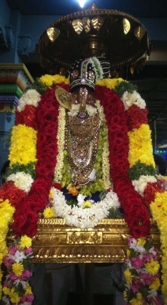 Poovirundavalli-Sri-Varadharaja-Perumal_05