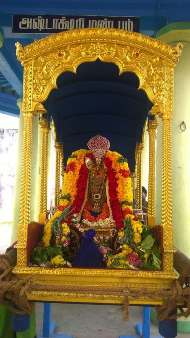 Poovirundavalli-Sri-Varadharaja-Perumal_15