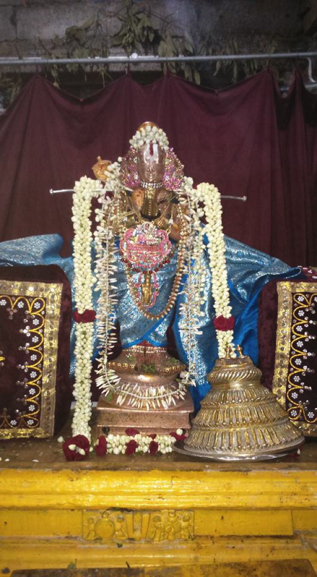 Poovirundavalli-Sri-Varadharaja-Perumal_16