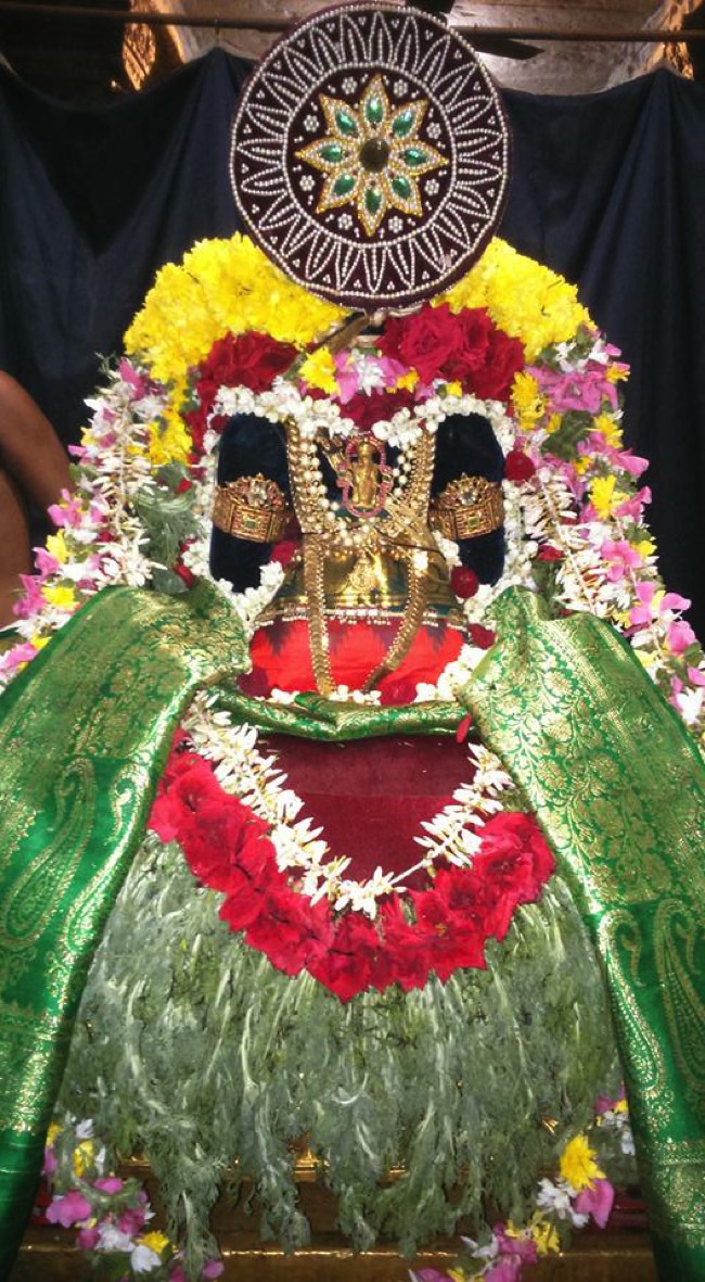 Poovirundavalli-Sri-Varadharaja-Perumal_17