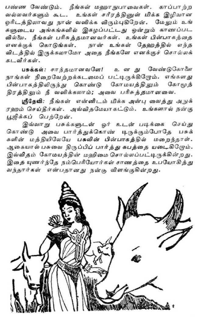 Saanathil-Mahalakshmi_02