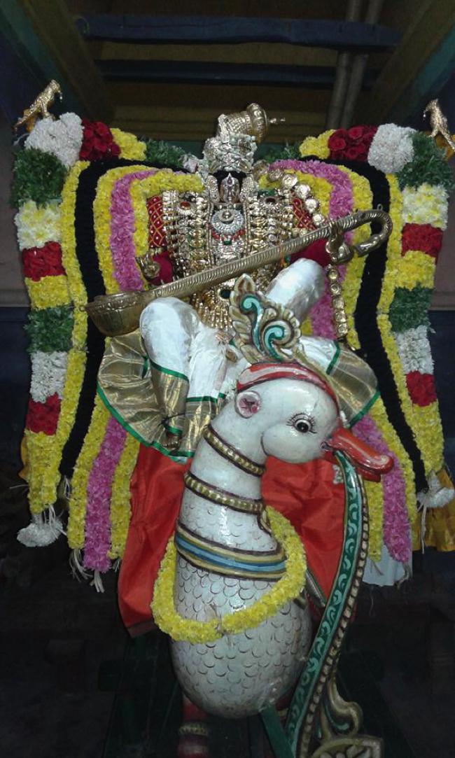 Sengalipuram-Sri-Parimala-Ranganathar_00