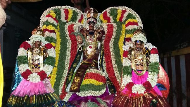 Sengalipuram-Sri-Parimala-Ranganathar_06