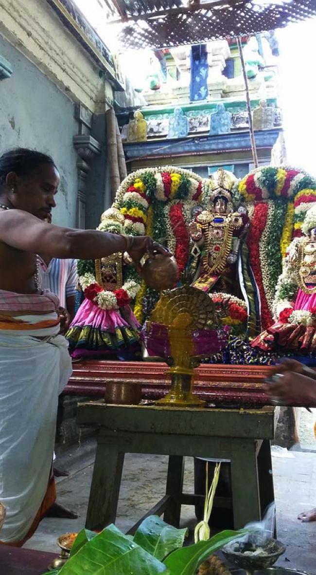 Sengalipuram-Sri-Parimala-Ranganathar_07