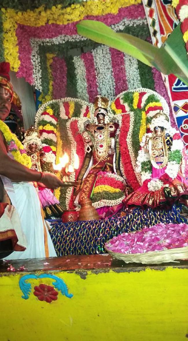 Sengalipuram-Sri-Parimala-Ranganathar_07