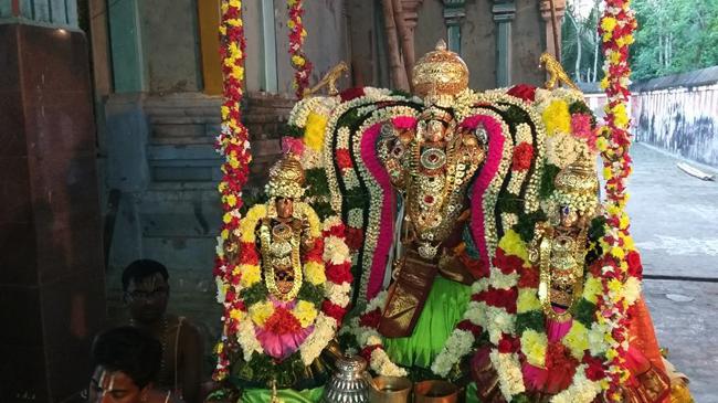 Sengalipuram-Sri-Parimala-Ranganathar_09