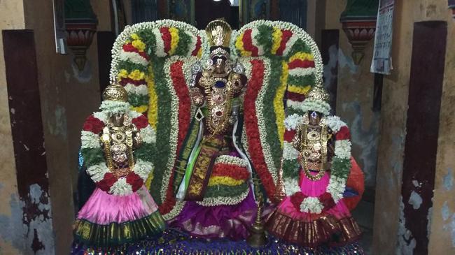 Sengalipuram-Sri-Parimala-Ranganathar_09