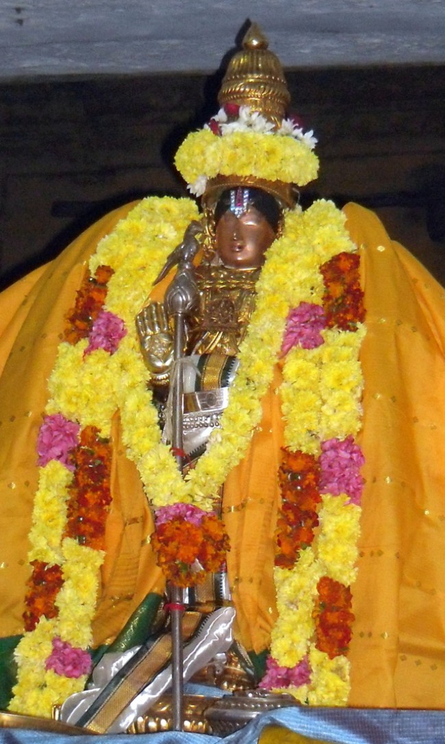 Thirukannamangai-Sri-Bhakthavatsala-Perumal_06