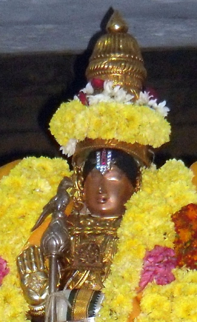 Thirukannamangai-Sri-Bhakthavatsala-Perumal_07