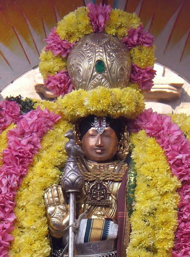 Thirukannamangai Sri Bhakthavatsala perumal temple Rathasapthami purappadu- 5.jpg