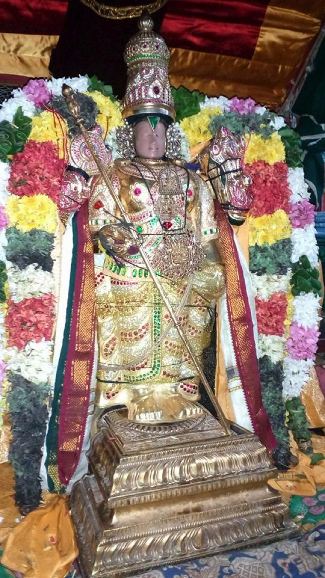 Thirukkannapuram-Sri-Sowriraja-Perumal_01