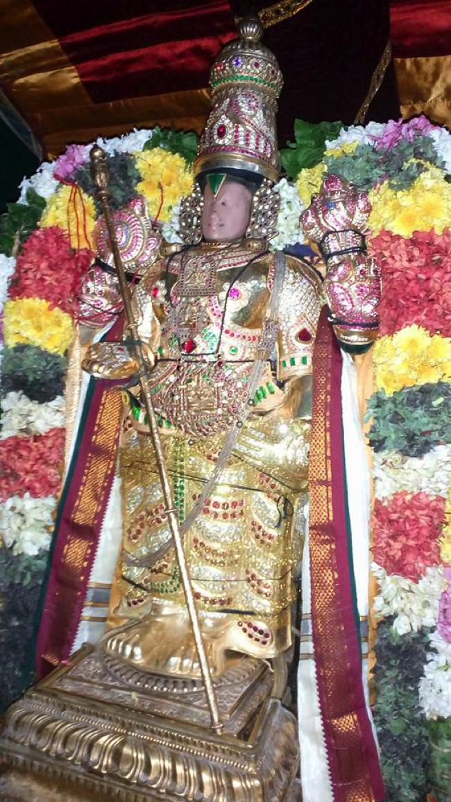 Thirukkannapuram-Sri-Sowriraja-Perumal_02